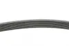 Ремінь генератора Toyota Camry 3.5 V6 11-17/ Lexus GS/ IS/ ES 2.5-3.5 05- CONTINENTAL Contitech 7PK1549 (фото 2)