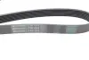 Ремінь Contitech 7PK1570 (фото 2)