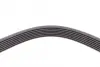 Пас поліклиновий BMW 5 (E34)/7 (E32/E38)/8 (E31) 3 CONTINENTAL Contitech 7PK1605 (фото 3)