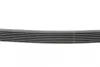 Ремінь генератора BMW 5 (E39/G30/F90)/7 (E38/F01/F02/F03/F04) 3.5-6.0 96- CONTINENTAL Contitech 7PK1629 (фото 2)