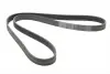 Ремінь генератора BMW 5 (E39/G30/F90)/7 (E38/F01/F02/F03/F04) 3.5-6.0 96- CONTINENTAL Contitech 7PK1629 (фото 4)