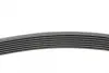 Ремінь генератора BMW 5 (E39/F10)/7 (E38) 3.5i/4.0i 96-03 CONTINENTAL Contitech 7PK1635 (фото 2)