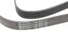 Ремінь генератора BMW 5 (E39/F10)/7 (E38) 3.5i/4.0i 96-03 CONTINENTAL Contitech 7PK1635 (фото 4)