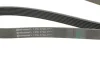Пас поліклиновий Honda CR-V 2.0 01-06 CONTINENTAL Contitech 7PK1730 (фото 3)