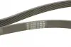 Ремінь Contitech 7PK1801 (фото 3)