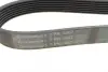 Ремінь генератора Land Rover Discovery/Range Rover 2.5 Td5/3.9-4.6 93-04 CONTINENTAL Contitech 7PK1867 (фото 4)
