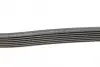 Ремінь генератора Toyota Camry/Avensis/RAV4 2.0/2.4 00-/Land Cruiser Prado 3.0D 00- CONTINENTAL Contitech 7PK1933 (фото 2)
