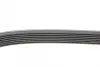 Ремінь генератора Renault Master/Opel Movano 2.3dCi 10-/Chrysler 300C 3.0 V6 CRD 10-12 CONTINENTAL Contitech 7PK2054 (фото 2)