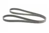 Ремінь генератора Toyota Camry/Land Rover 3.5i/4.0/4.6 81- CONTINENTAL Contitech 7PK2090 (фото 5)