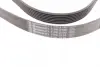 Ремінь генератора Land Rover Range Rover/Toyota Land Cruiser 120 4.0i/4.6 94-10 CONTINENTAL Contitech 7PK2120 (фото 2)
