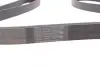 Ремінь генератора Kia Sorento 2.5 CRDI 06-/Land Rover Discovery/Range Rover 88-04 CONTINENTAL Contitech 7PK2255 (фото 2)