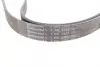 Ремінь генератора Kia Sorento 2.5 CRDI 06-/Land Rover Discovery/Range Rover 88-04 CONTINENTAL Contitech 7PK2255 (фото 3)