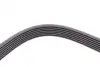Ремінь генератора Kia Sorento 2.5 CRDI 06-/Land Rover Discovery/Range Rover 88-04 CONTINENTAL Contitech 7PK2255 (фото 4)