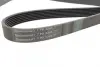 Ремінь генератора Honda Accord 2.2 i-CDTi 04-08 CONTINENTAL Contitech 7PK2265 (фото 2)