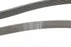 Ремінь генератора Hyundai H-1/Starex/Kia Sorento 2.5 CRDI 01-/MB S-class (W220) 4.0CDI 00-05 CONTINENTAL Contitech 7PK2283 (фото 3)