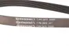 Ремінь Contitech 7PK2875 (фото 3)
