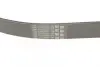 Ремінь генератора Mazda 3/5/6 2.0 DI/CD 02-10 CONTINENTAL Contitech 8PK1226 (фото 3)