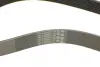 Ремень привода навесного оборудования Contitech 8PK1390 (фото 4)