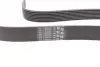 Ремінь генератора BMW 5 (F10)/ X5 (E70/F15/F85)/X6 (E71/E72/F16/F86) 08-16 CONTINENTAL Contitech 8PK1478 (фото 3)