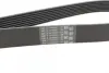 Ремінь генератора Land Rover Range Rover Sport 05-13/Discovery 2.7D 04- CONTINENTAL Contitech 8PK2092 (фото 2)