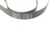 Ремінь генератора Land Rover Range Rover Sport 05-13/Discovery 2.7D 04- CONTINENTAL Contitech 8PK2092 (фото 3)