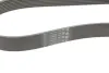 Ремінь генератора BMW X1 (F48)/X2 (F39) 1.5 hybrid 20- B38 (8PK954) CONTINENTAL Contitech 8PK954 EXTRA (фото 3)