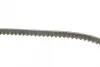 Ремінь генератора Audi 80/90/100/200 1.8-2.3 76-91/BMW 3 (E30)/5 (E34) 1.6/1.8 87-95 CONTINENTAL Contitech AVX10X800 (фото 2)