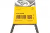 Ремінь генератора Nissan Terrano 2.4 93-07/BMW 3 (E30) 1.6/1.8 82-9/Audi 80 1.6/2.0 75-96 CONTINENTAL Contitech AVX10X900 (фото 6)