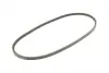 Ремінь генератора VW Golf II/Passat 1.6D/TD/1.9D 83-93/BMW 3 (E30)/(E28) 2.0/2.5 82-93 CONTINENTAL Contitech AVX10X965 (фото 5)