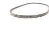 Ремінь генератора Toyota Hilux/Land Cruiser 2.4D 88-02/Ford Sierra 2.8 87-88 CONTINENTAL Contitech AVX13X1200 (фото 2)