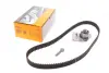 Комплект ременя ГРМ CONTINENTAL CT1025K1