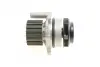 Комплект ГРМ (ремінь + ролик + помпа) CT 1028 WP2 Contitech CT1028WP2 (фото 6)