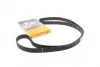 Пас ГРМ Subaru Forester/Impreza/Legacy 1.5/2.0/2.5 CONTINENTAL Contitech CT1058 (фото 1)