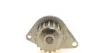 Комплект пасу ГРМ з насосом Citroen C4/Peugeot 307 CONTINENTAL Contitech CT1101WP1 (фото 7)