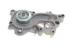 Комплект пасу ГРМ з насосом VW Polo/Skoda Fabia 1. CONTINENTAL Contitech CT1167WP1PRO (фото 6)