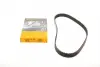 Пас ГРМ VW T4 2.5i 90-03/Audi 100 2.4D/2.5TDI 90-9 CT755 CONTINENTAL