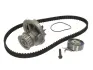 Комплект ГРМ (ремінь + ролик + помпа) CT 874 WP1 CT874WP1