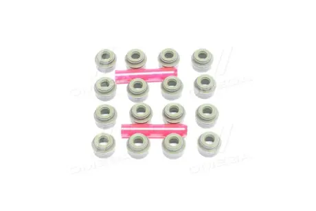 Сальник клапана (впуск/випуск) Renault Kangoo 1.2 16V 01- (к-кт 16шт) CORTECO 19036100