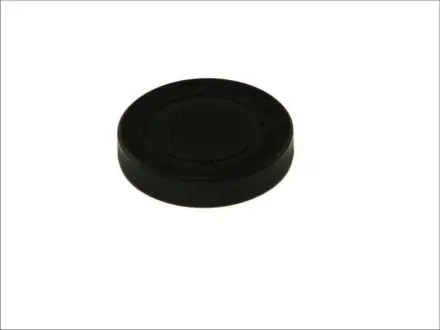 Заглушка ГБЦ RENAULT/DACIA/NISSAN ="" CORTECO 21653091