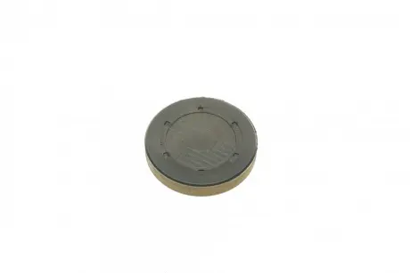 Заглушка ГБЦ RENAULT/DACIA/NISSAN ="" CORTECO 21653092