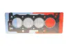 Прокладка ГБЦ Citroen Berlingo/Peugeot Partner 1.1/1.4i 96- CORTECO 414644P (фото 1)
