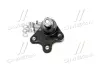 Опора кульова нижня L VW Polo 02- Polo 02-09 Fox Audi A2 00-05 Skoda Seat (вир-во) CTR CB0552L (фото 2)