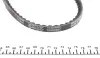 Ремінь генератора BMW 3/VW Passat 1.6TD/1.9D 88-93 DAYCO 10A0960C (фото 3)
