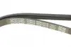 Ремінь генератора Audi A4/A6 2.5TDI 00-05/ Peugeot J5 1.9-2.5 TD 90-94 DAYCO 4PK1215 (фото 4)