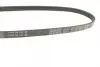 Ремінь генератора BMW 3 (E36)/5 (E39)/7 (E38) 2.5TD DAYCO 4PK780 (фото 2)