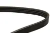 Ремінь генератора Hyundai Tucson/i30/Kia Sportage/Carens/Ceed/Suzuki Grand Vitara 04-/Audi/BMW/Mazda DAYCO 4PK890 (фото 2)