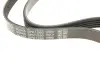 Ремінь генератора Nissan Pathfinder II 3.3 V6 97-04 DAYCO 5PK1280 (фото 4)
