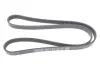 Ремінь генератора MB A-Class 1.6/1.8/2.0 CDI 04-12 (5PK1310) DAYCO 5PK1310S (фото 1)