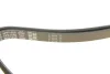 Поліклиновий ремінь HYUNDAI ACCENT III, ACCENT IV, ELANTRA V, GETZ, I10 I, I20 I, I30, IX20, IX35 KIA CEE\'D, PICANTO I, PRO CEE\'D, RIO II, RIO III, SOUL I, VENGA OPEL ADAM 1.0-2.0 03.96- DAY5PK1650 DAYCO 5PK1650 (фото 4)