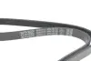 Ремінь генератора Hyundai Tucson 15-/i20/i30/i40/Accent/Kia Ceed/Rio 05-/Sportage 10- (5PK1810) DAYCO 5PK1810S (фото 4)